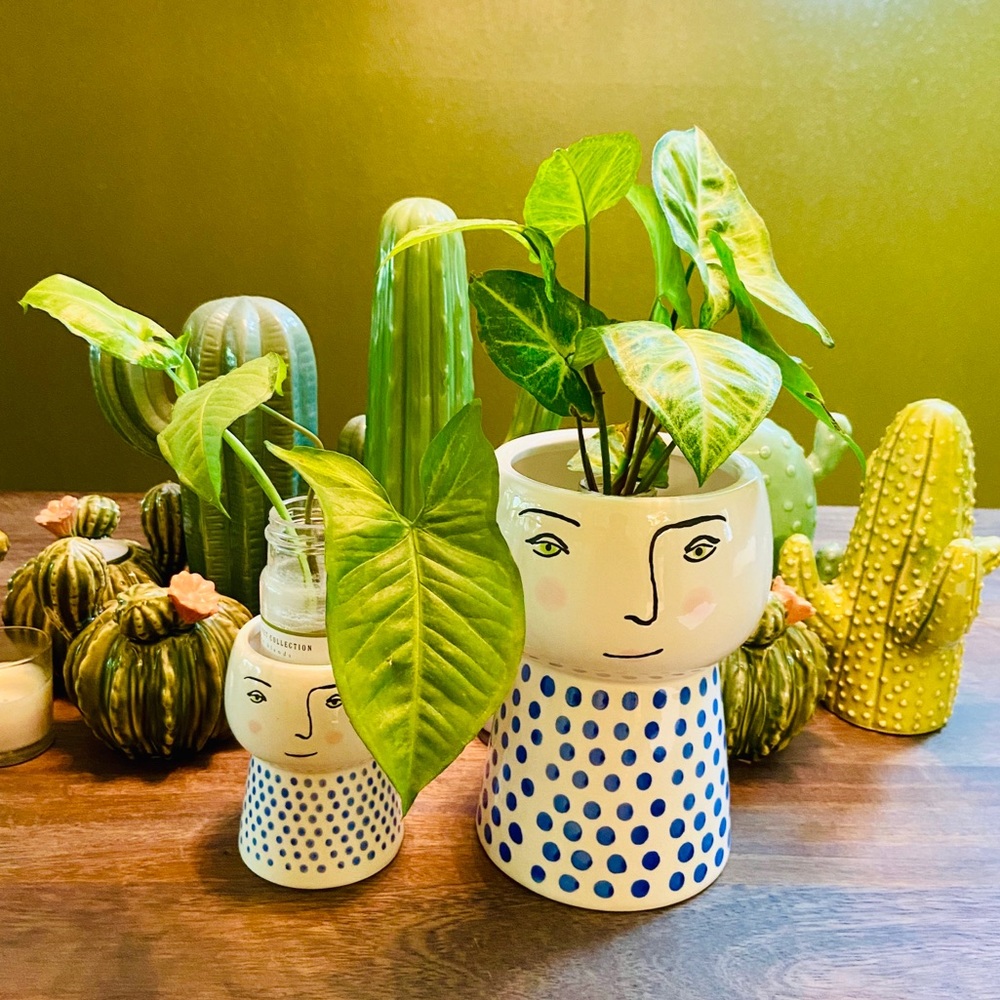 🌿Large Stoneware Family Planter/Vase Blue/White - Picture 9 of 16